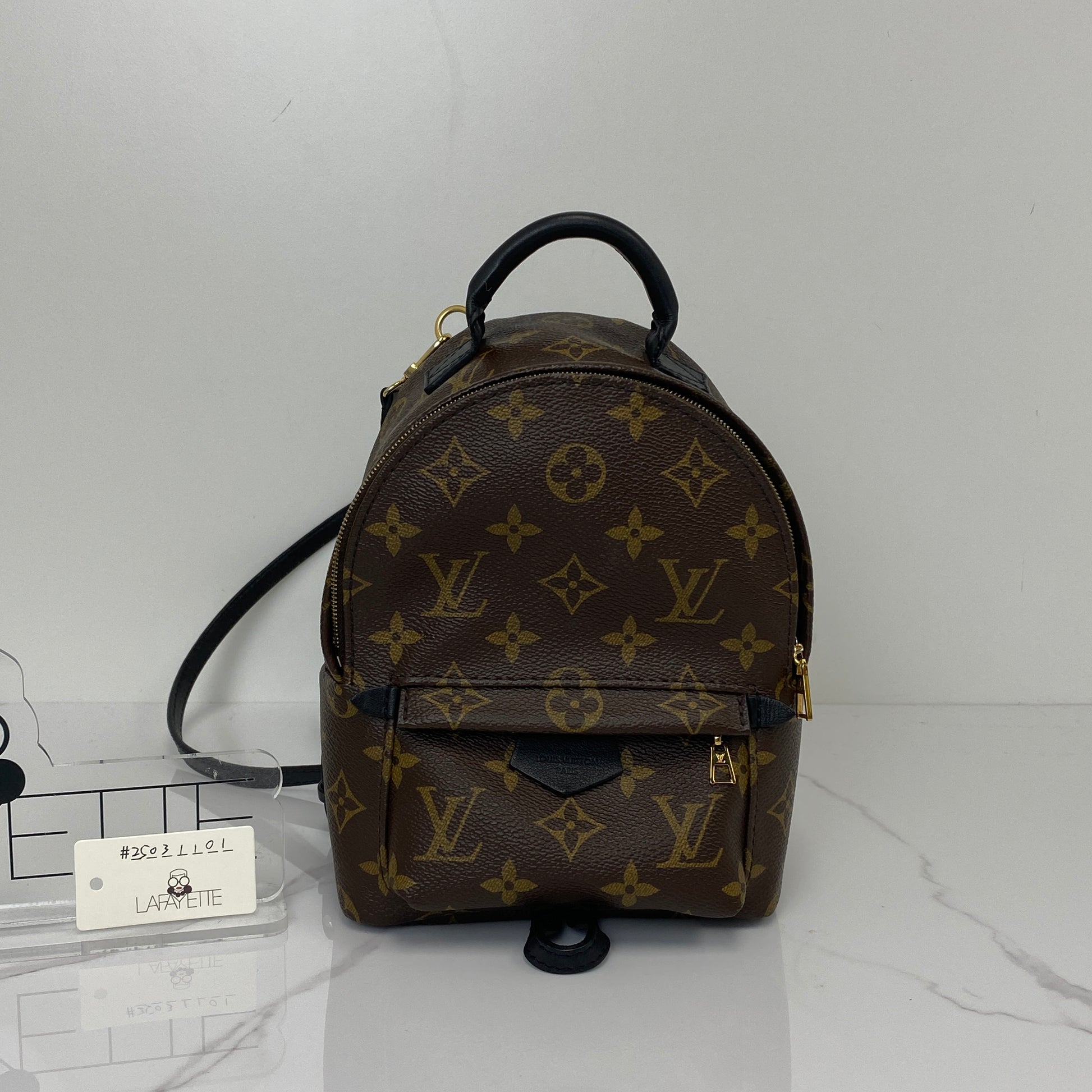 Louis Vuitton Palm Spring Mini Backpack | Lafayette Consignment