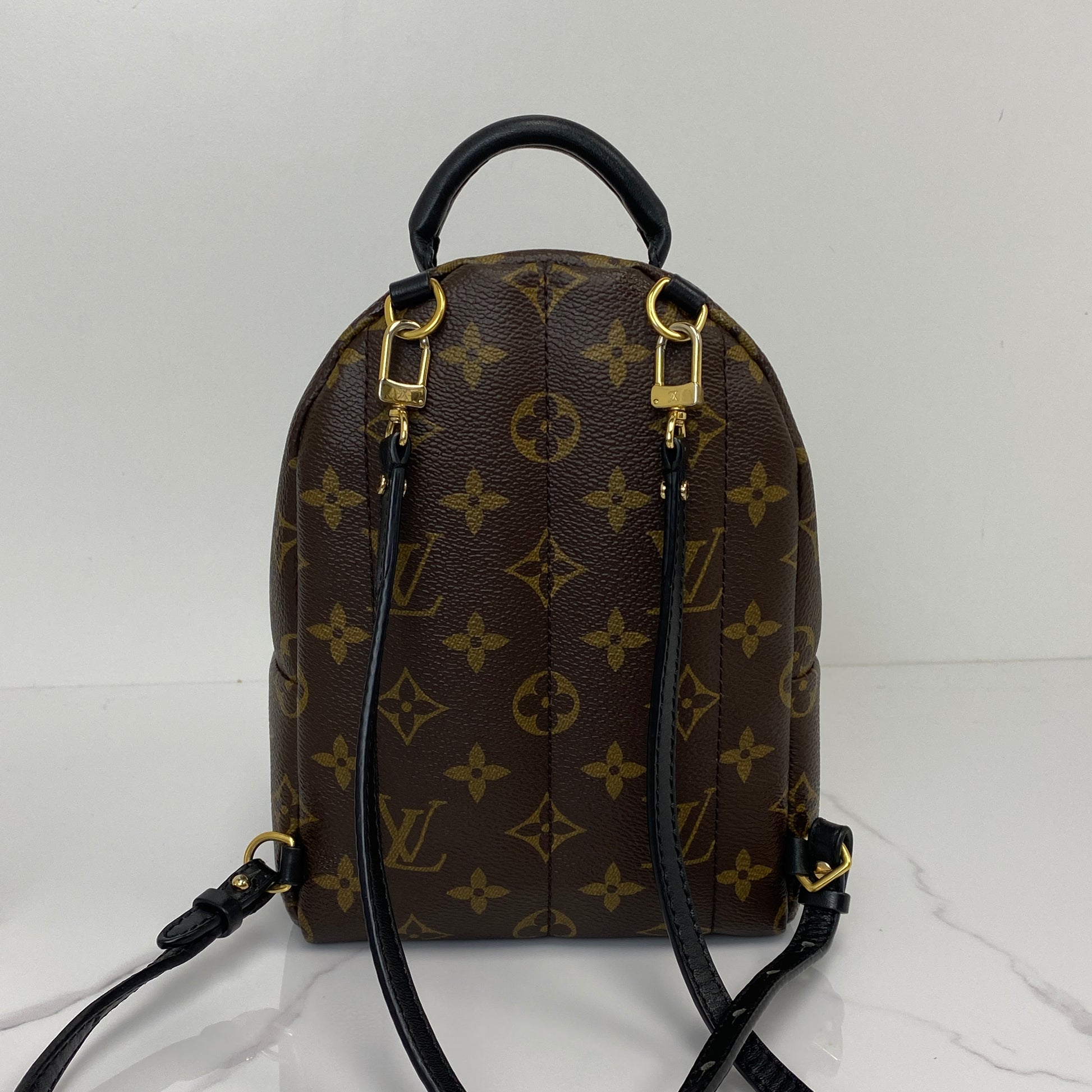 Louis Vuitton Palm Spring Mini Backpack | Lafayette Consignment
