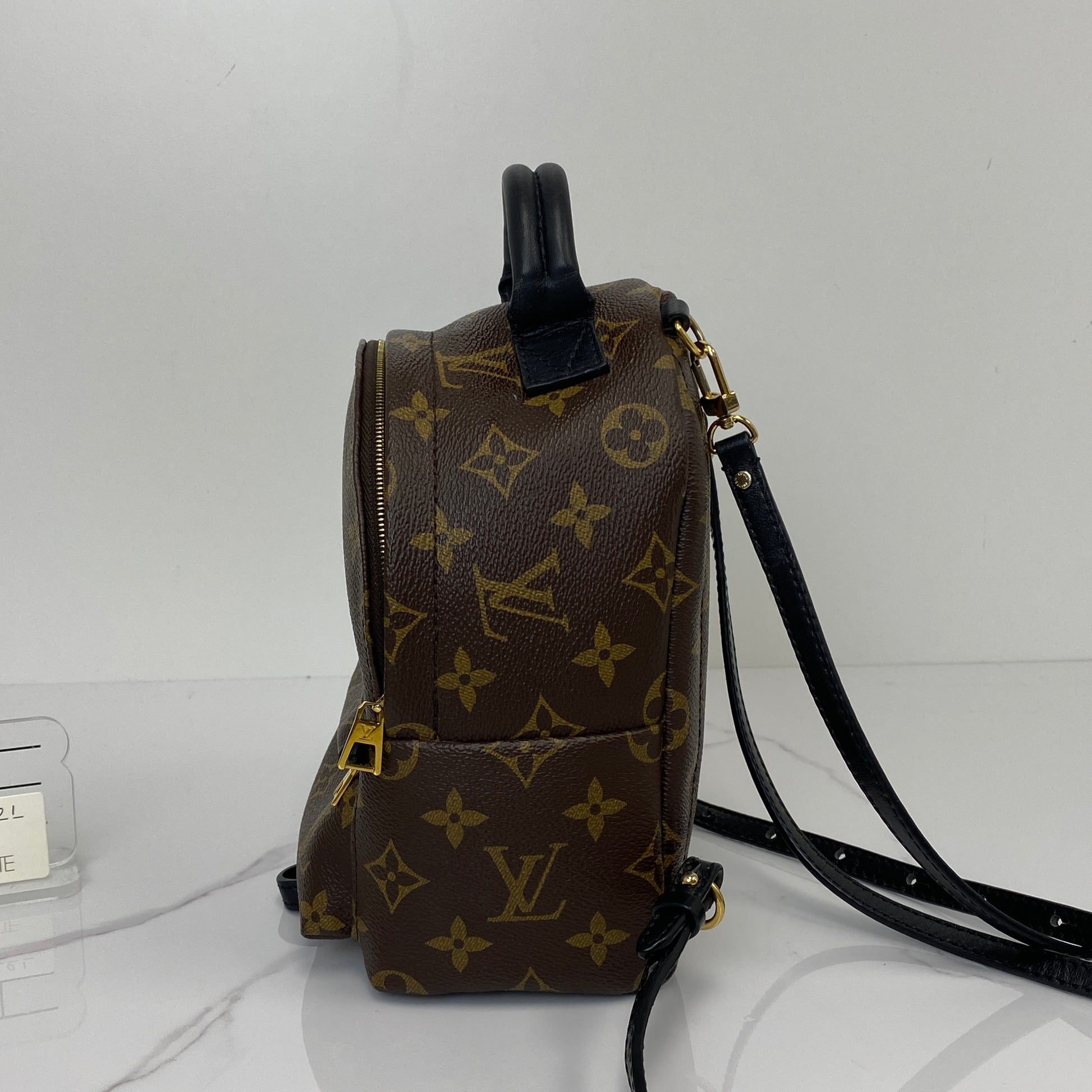 Louis Vuitton Palm Spring Mini Backpack | Lafayette Consignment