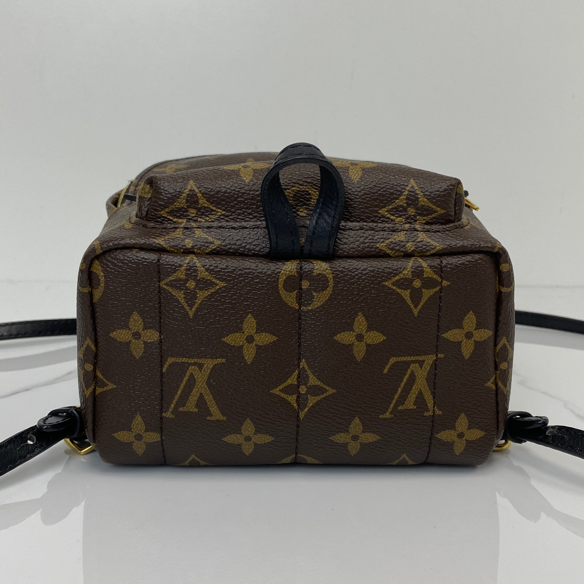 Louis Vuitton Palm Spring Mini Backpack | Lafayette Consignment