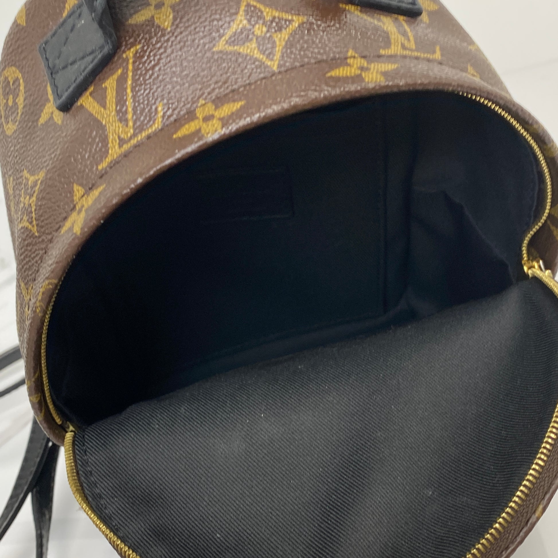 Louis Vuitton Palm Spring Mini Backpack | Lafayette Consignment