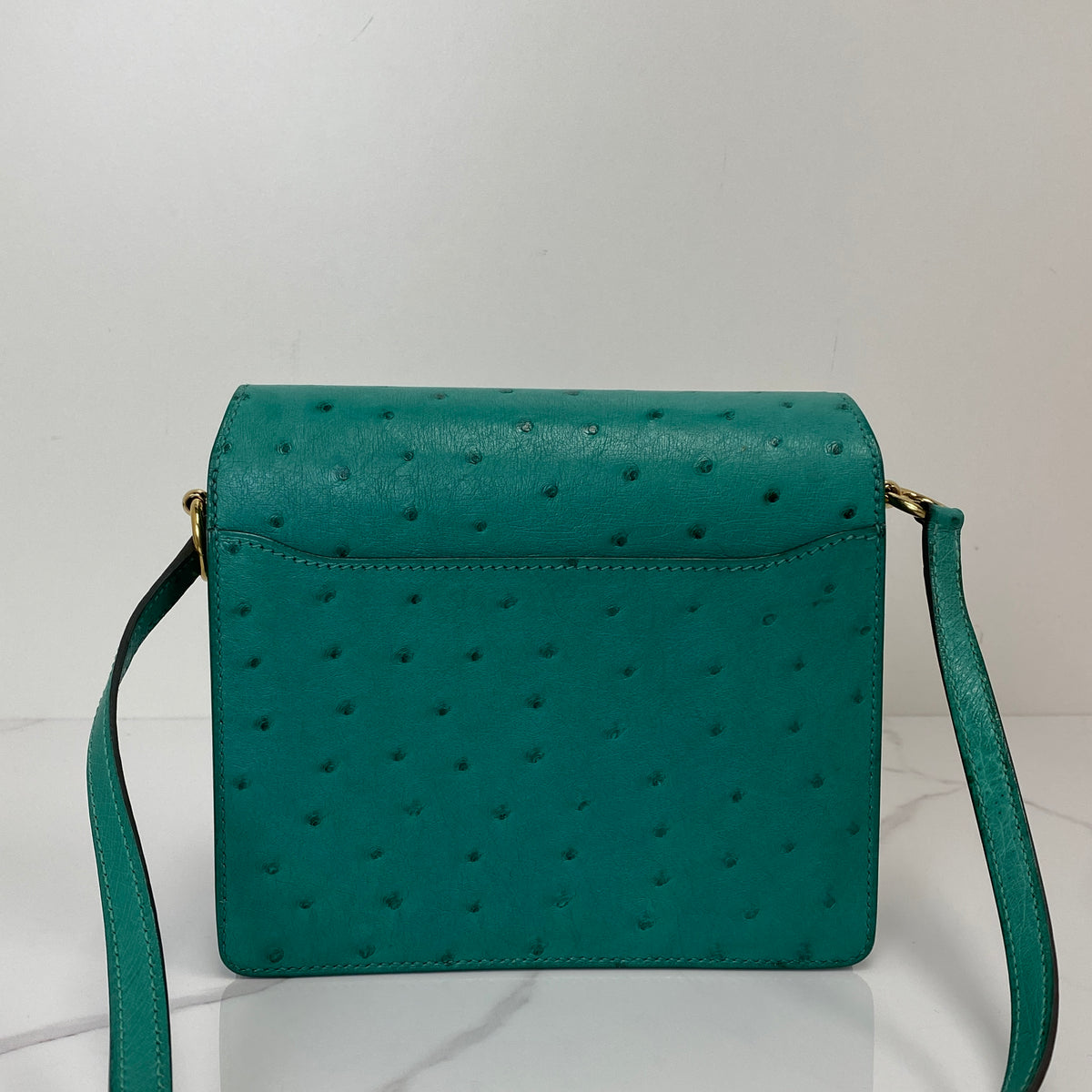 Hermès Roulis 18, Vert Vérone ostrich leather, palladium hardware — detail view 2