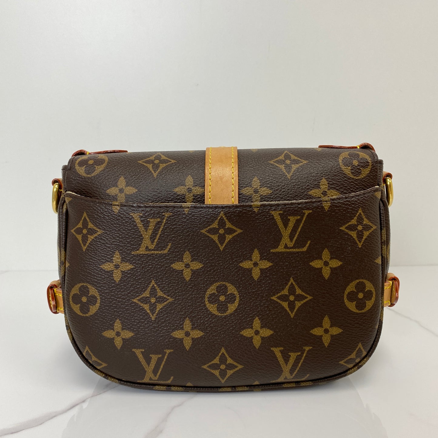 Back view of the Louis Vuitton Saumur BB in Monogram canvas