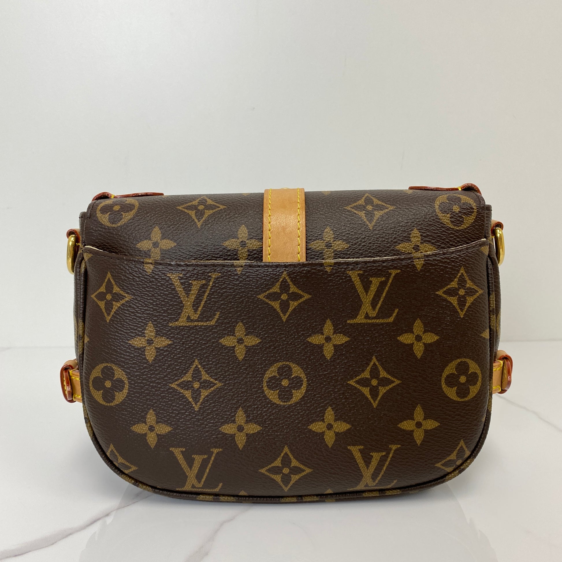 Back view of the Louis Vuitton Saumur BB in Monogram canvas