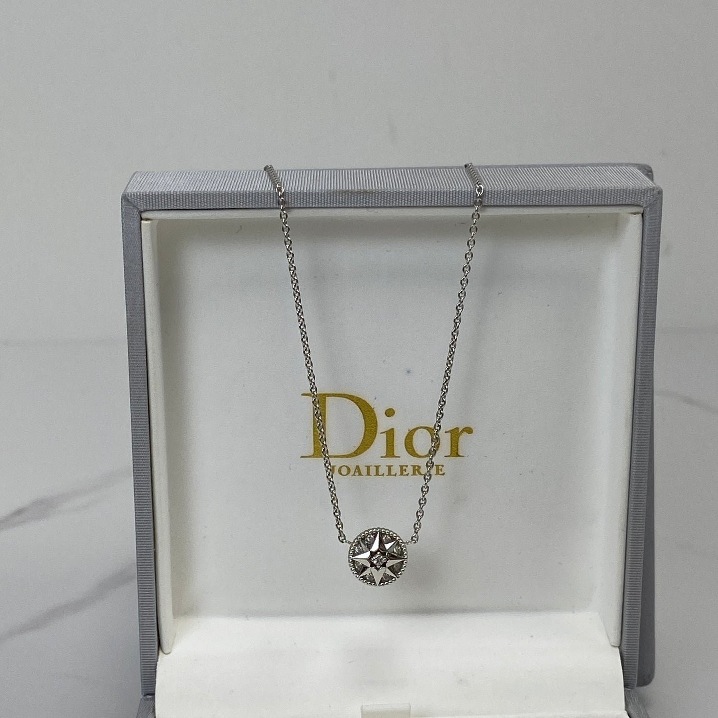 Chain detail of the Dior Rose Des Vents necklace